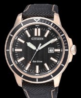 Citizen Eco Drive Marine